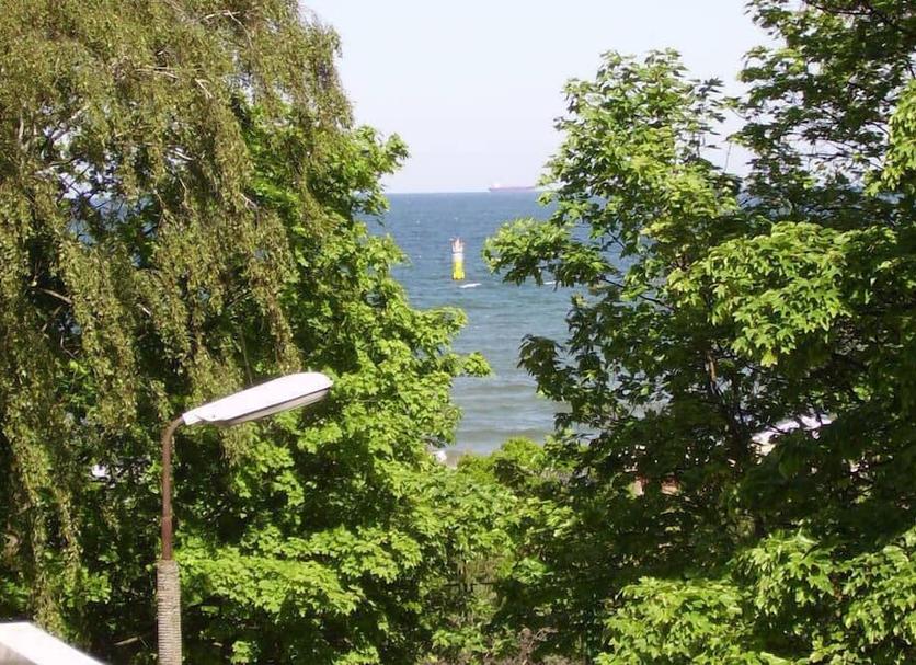 Udsigt Billede