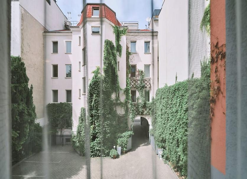 Udsigt Billede