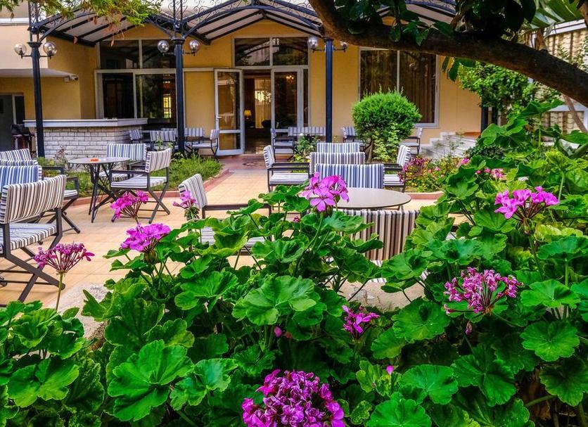 Patio Billede