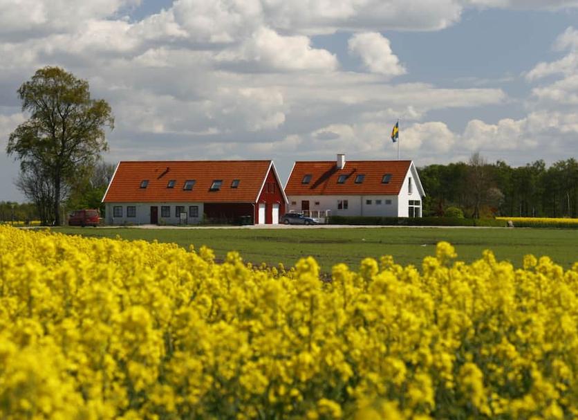 Andet Billede