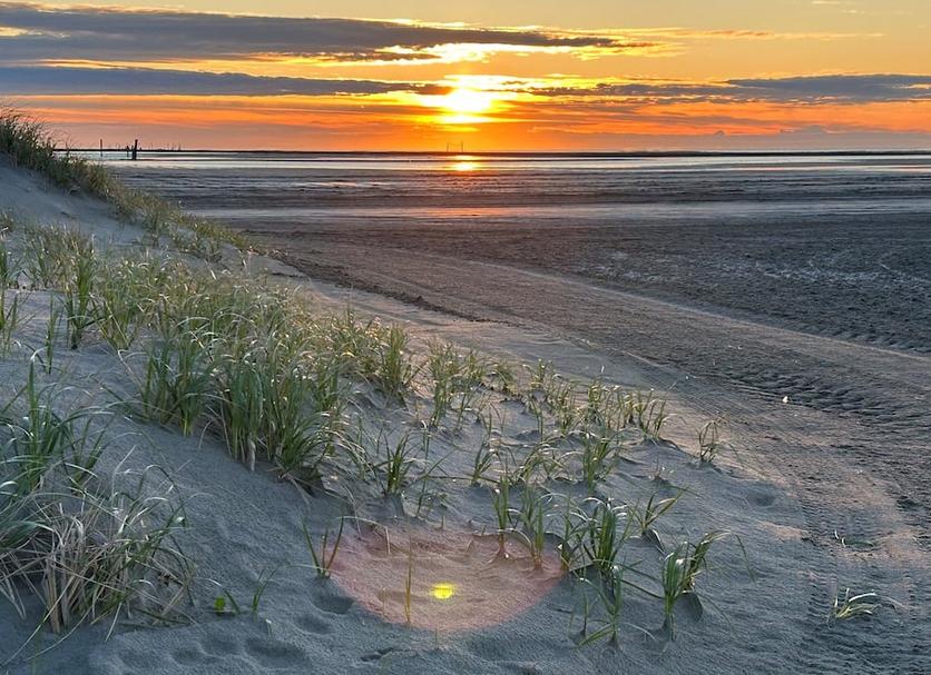 Strand Billede