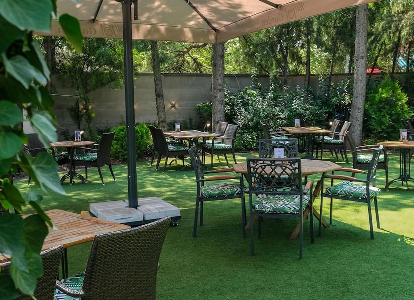Patio Billede