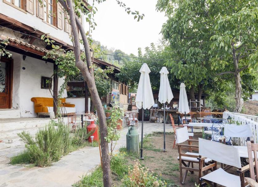Patio Billede