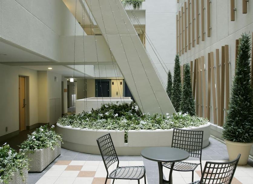 Patio Billede