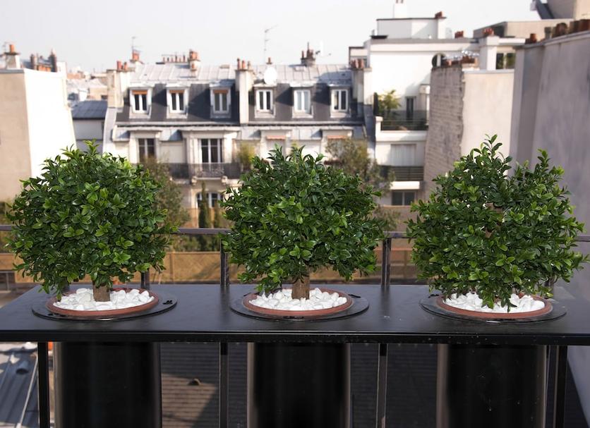 Balkon Billede