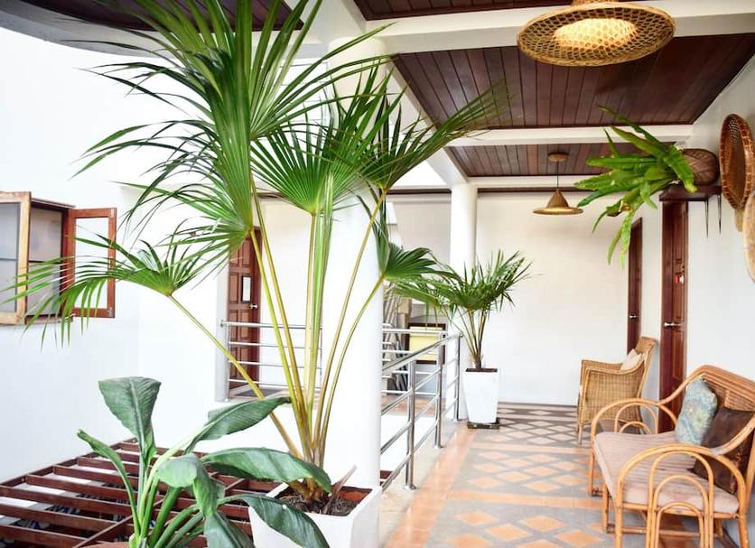 Patio Billede