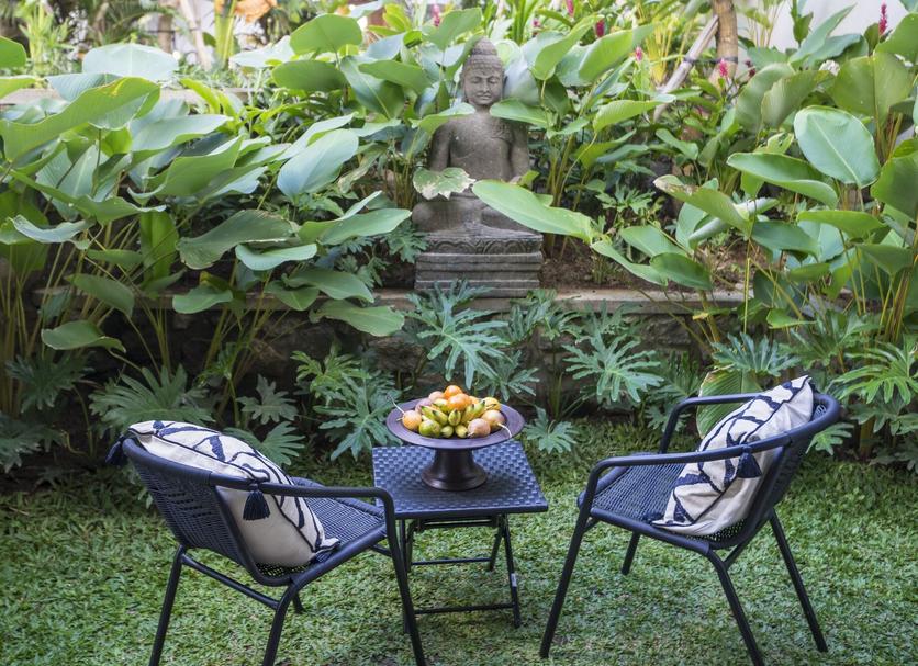 Patio Billede