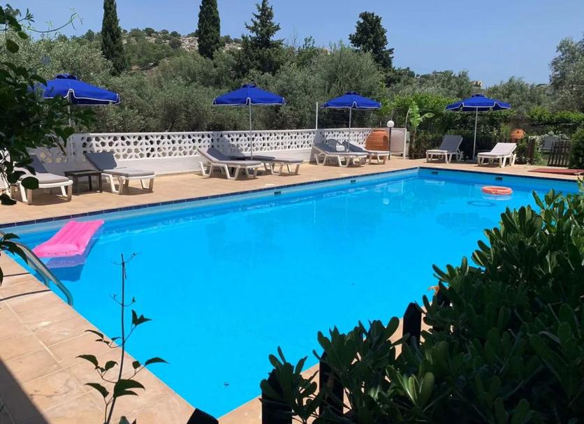 Pool Billede