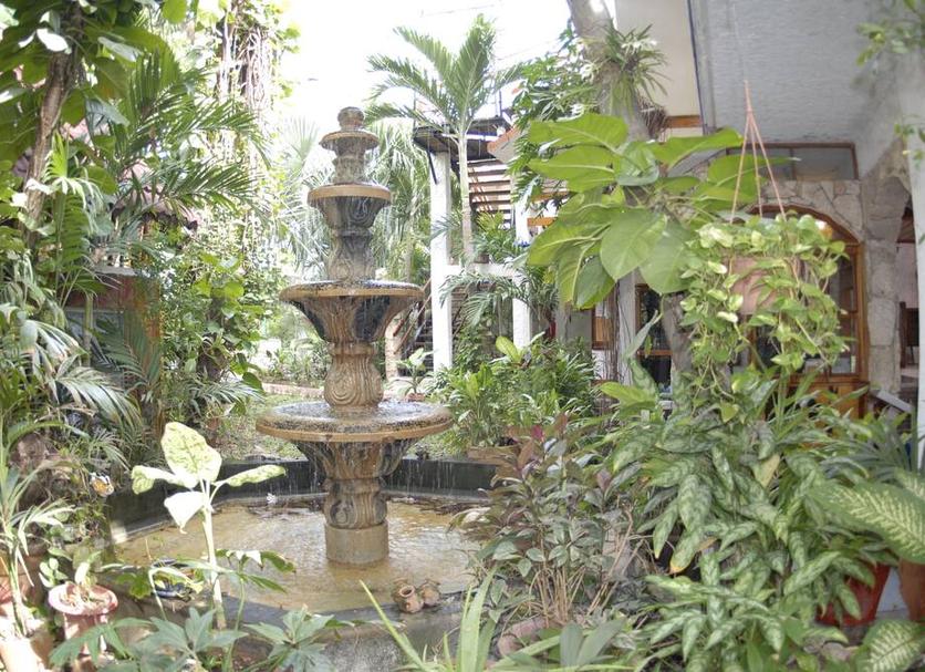 Patio Billede