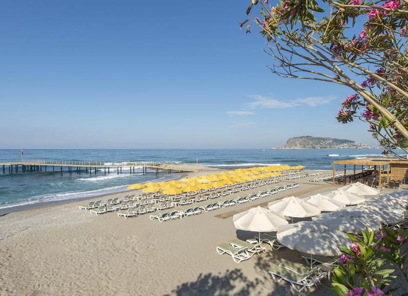 Strand Billede
