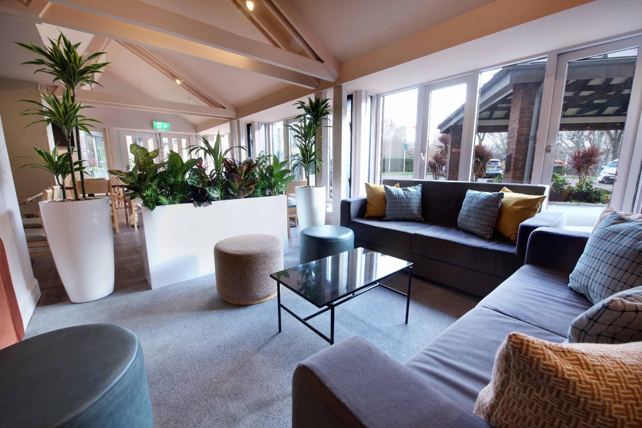 Lounge Billede