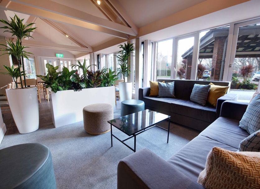 Lounge Billede