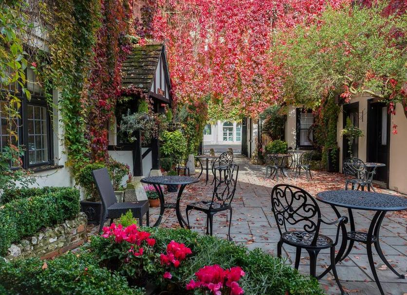 Patio Billede