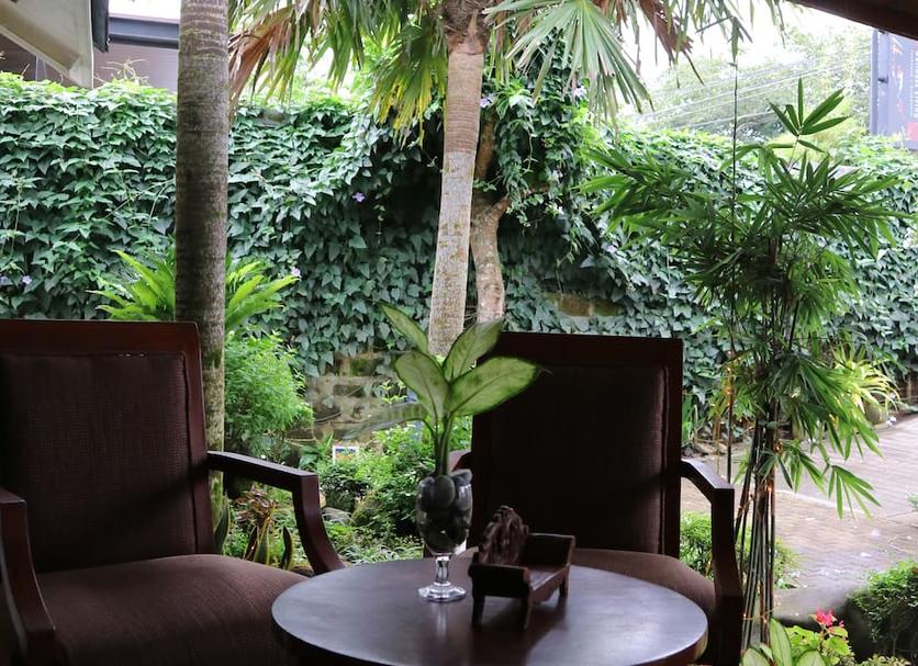 Patio Billede