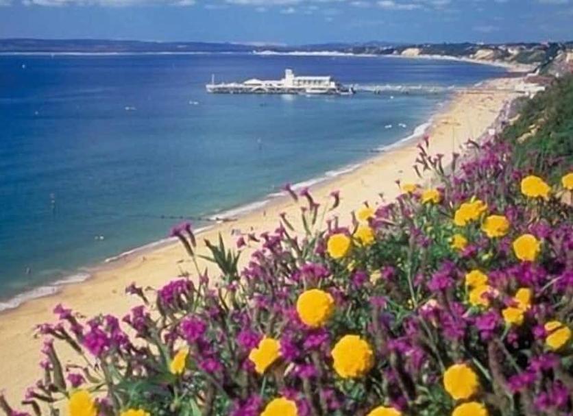 Strand Billede