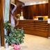 Receptionist