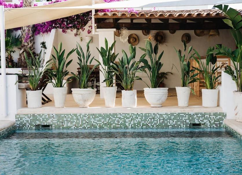 Pool Billede