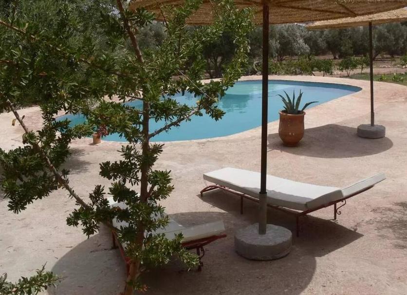 Pool Billede