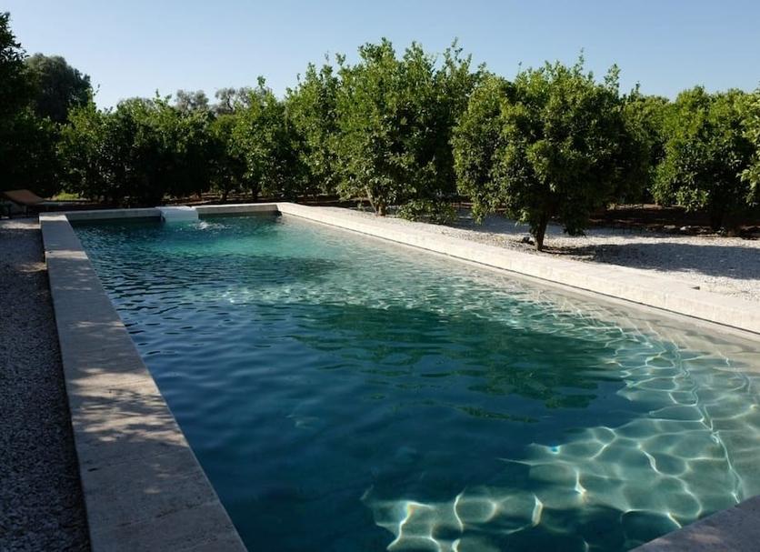 Pool Billede