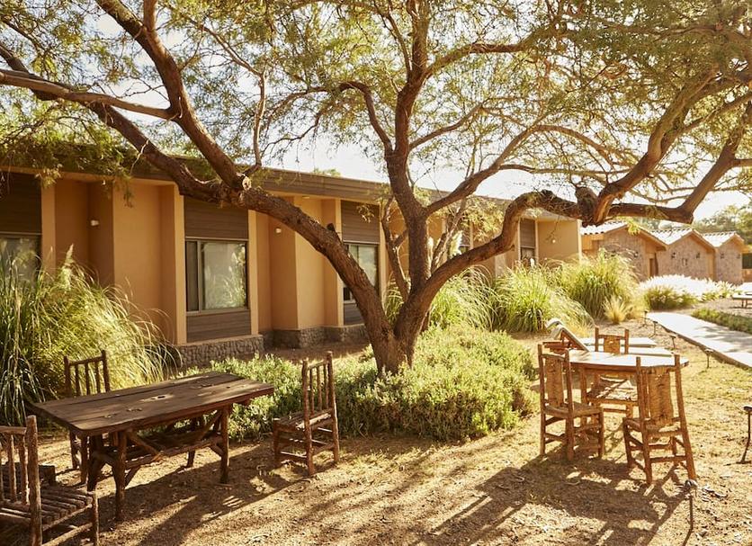 Patio Billede