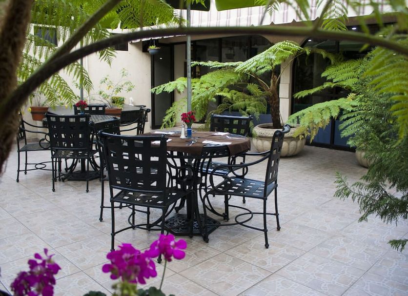 Patio Billede