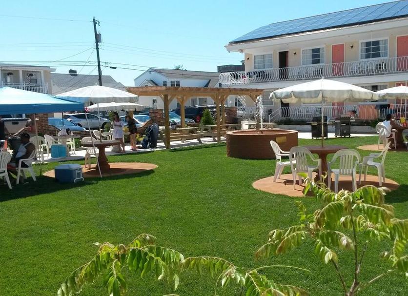 Patio Billede
