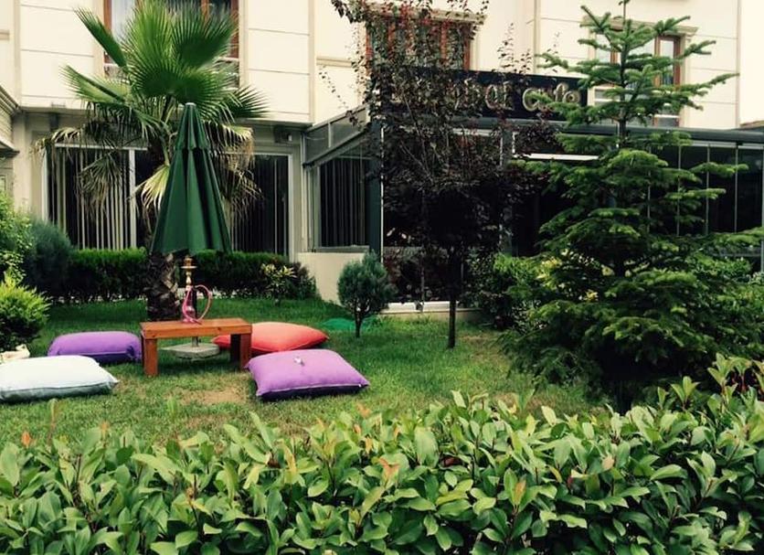 Patio Billede