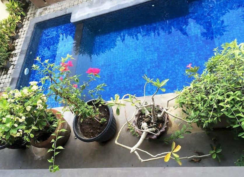 Pool Billede