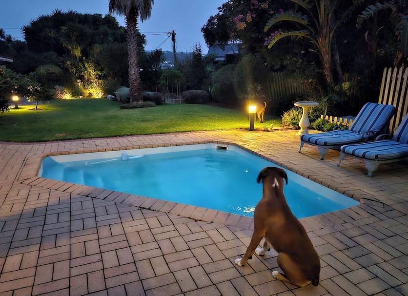 Pool Billede