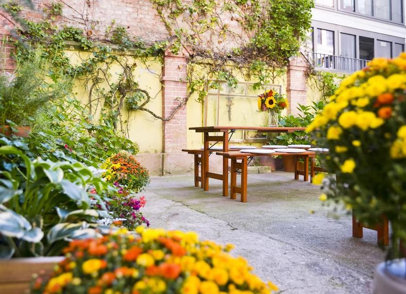 Patio Billede