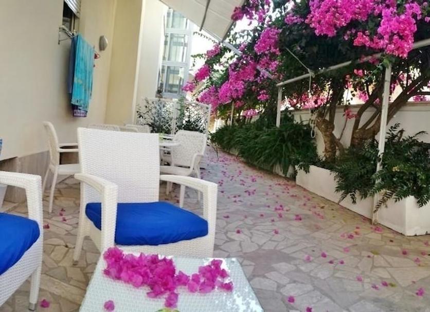 Patio Billede