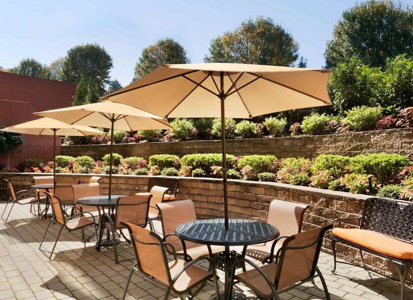 Patio Billede