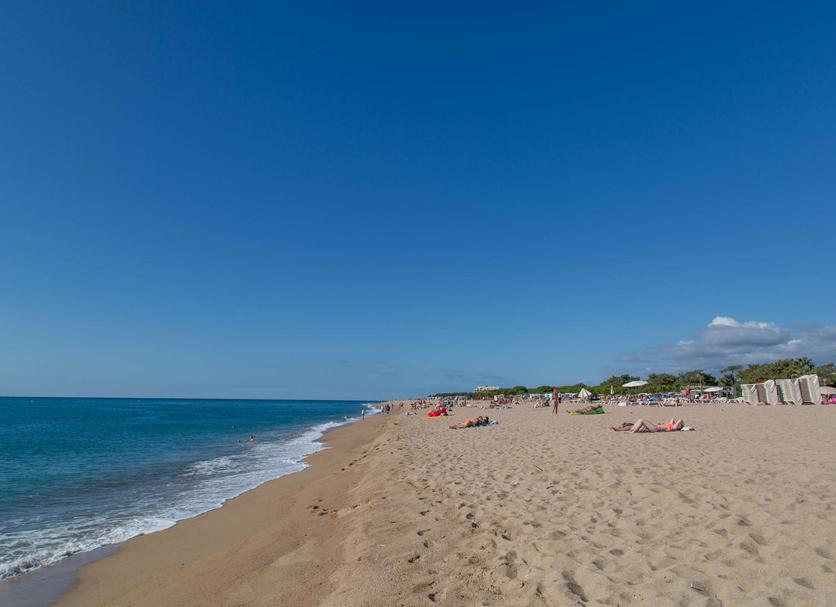 Strand Billede