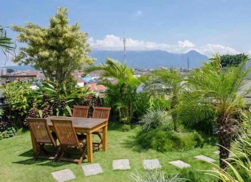Patio Billede