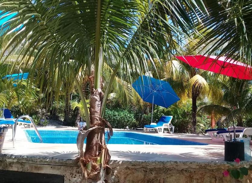 Pool Billede