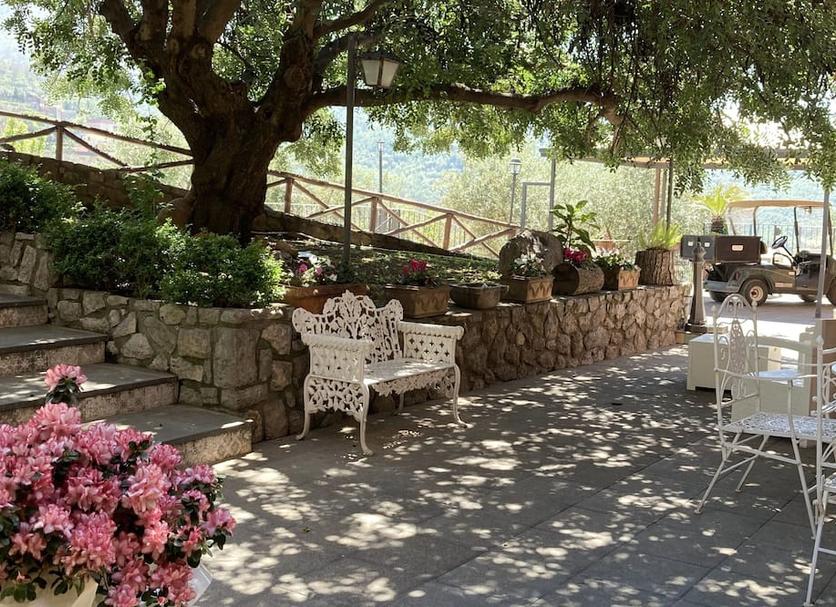 Patio Billede