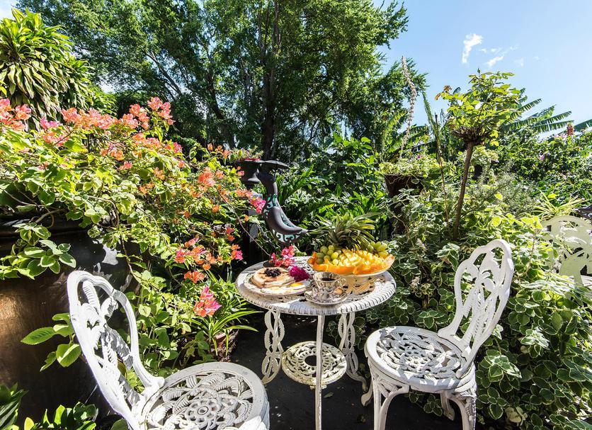 Patio Billede