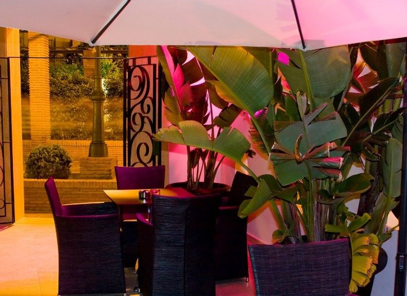 Udsigt Billede
