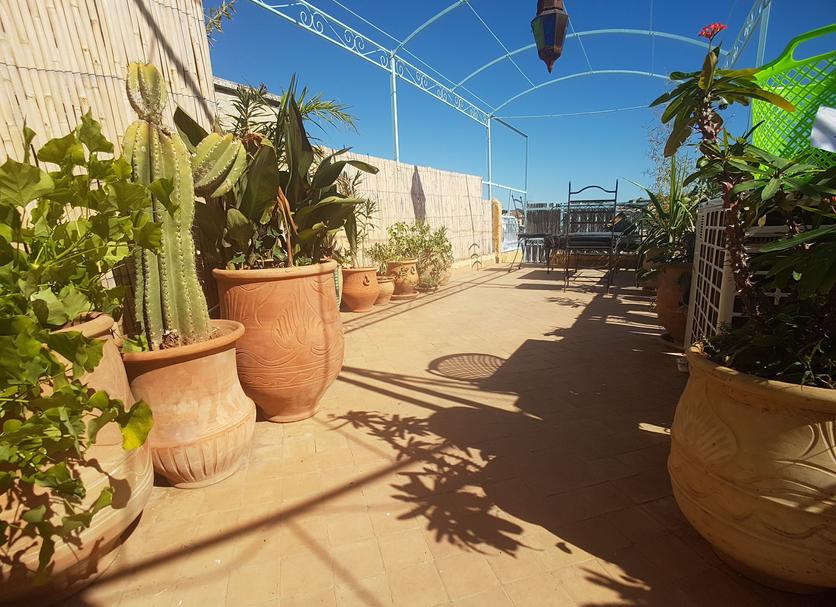 Tagterrasse Billede