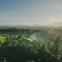 Kappa Senses Ubud