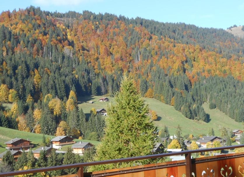 Balkon Billede