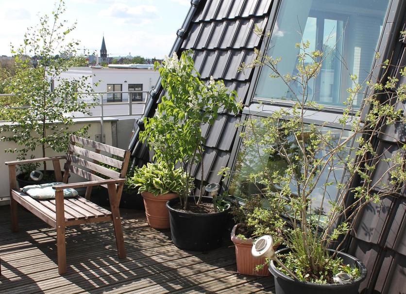 Balkon Billede