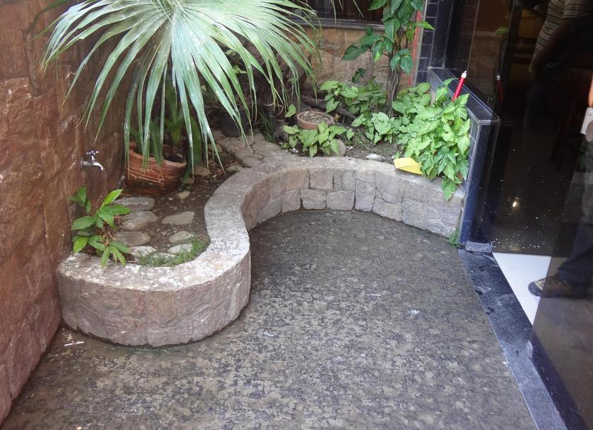 Patio Billede