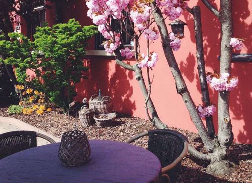 Patio Billede